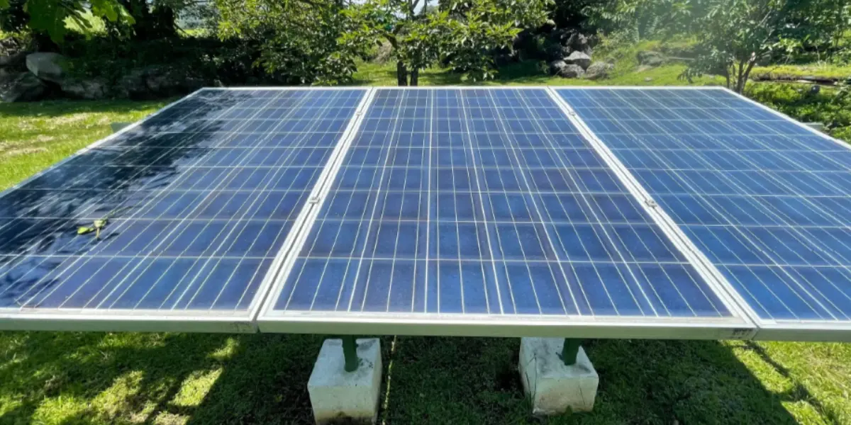 Renewable energy sources in the manufacturing world | Spradling